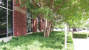 A brick building with trees and bushes in front of it.