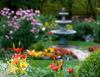 A beautiful view, of a fountain in the garden with some plants